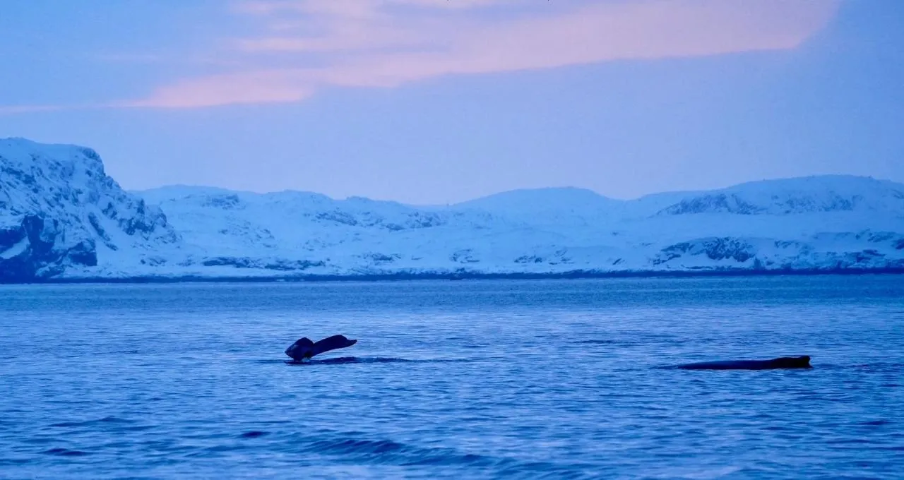 Arctic Ocean & Sky 03