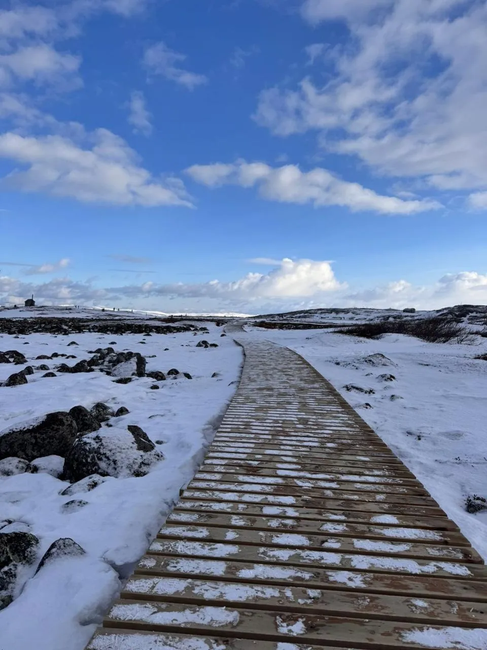 Winter Landscape 13