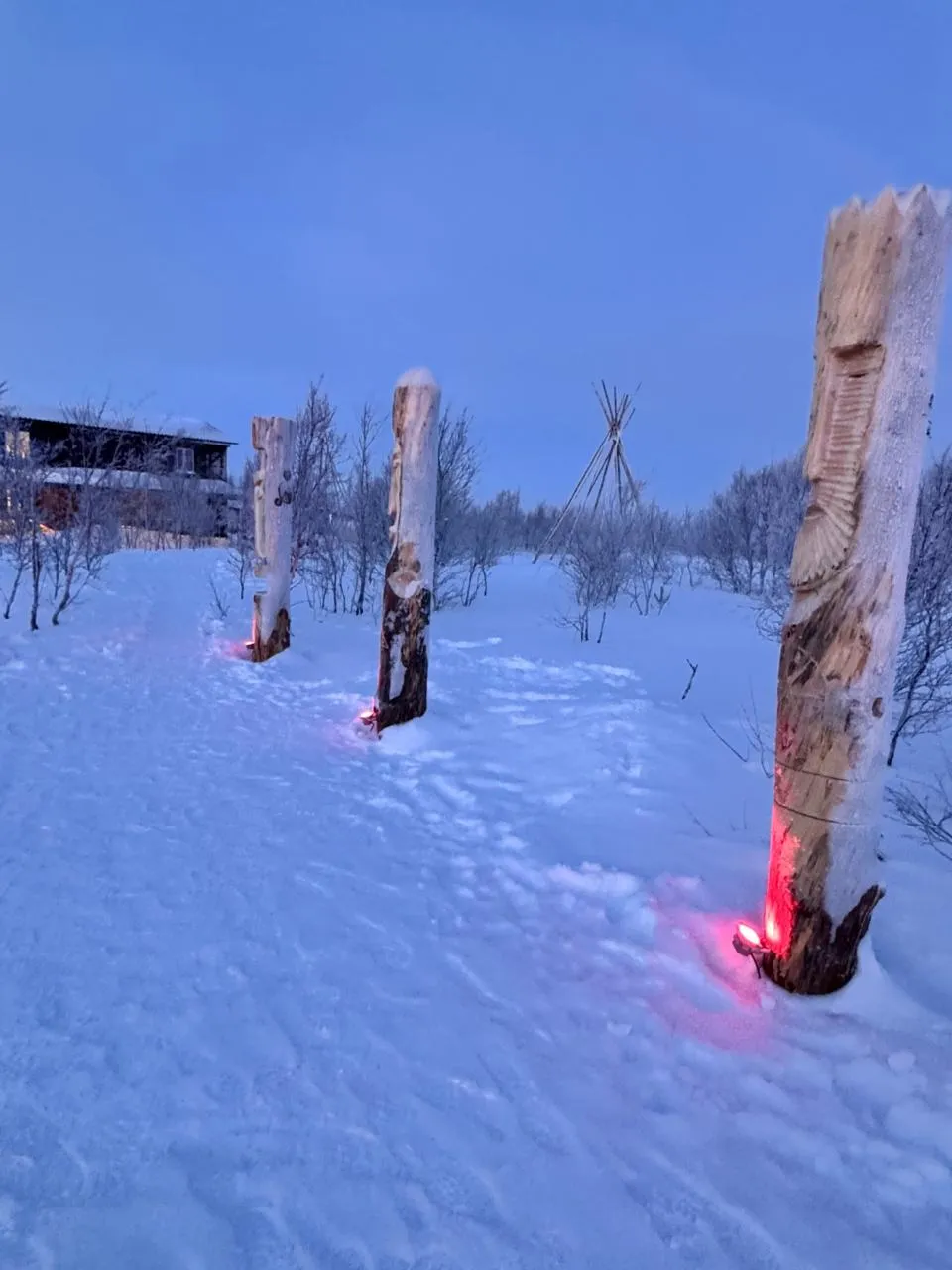 Winter Landscape 20